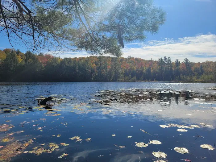 Dog Lake Shelter 1