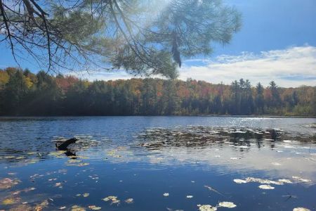 Dog Lake Shelter