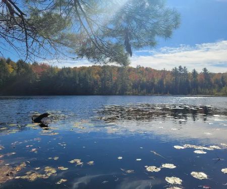 Dog Lake Shelter