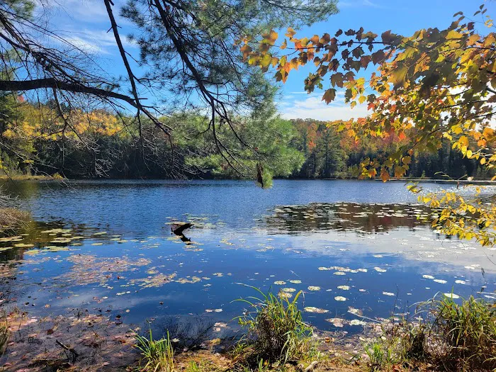 Dog Lake Shelter 5