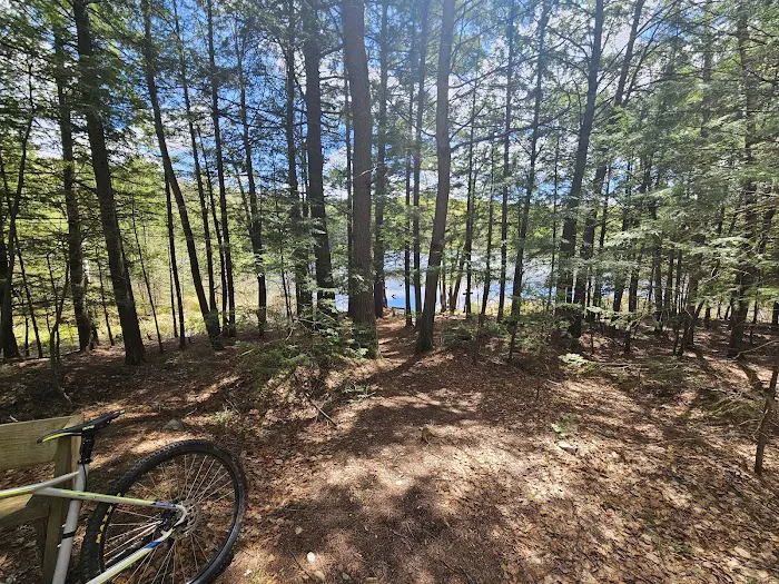 Dog Lake Shelter 4
