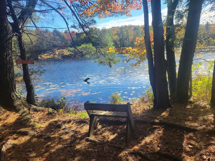 Dog Lake Shelter 7