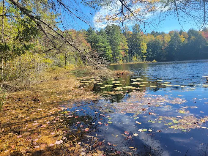 Dog Lake Shelter 8