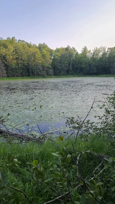 OTTER LAKE CAMPGROUND 3