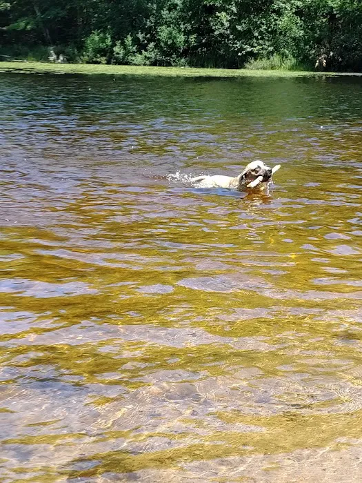 OTTER LAKE CAMPGROUND 6