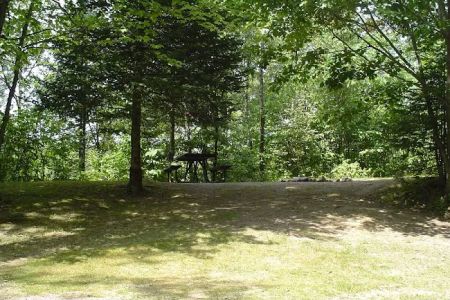 Camp New Wood County Campground