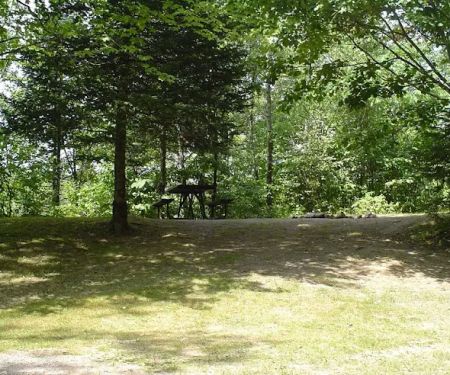 Camp New Wood County Campground