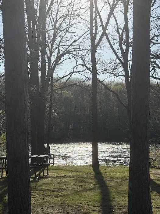 Camp New Wood County Campground 6