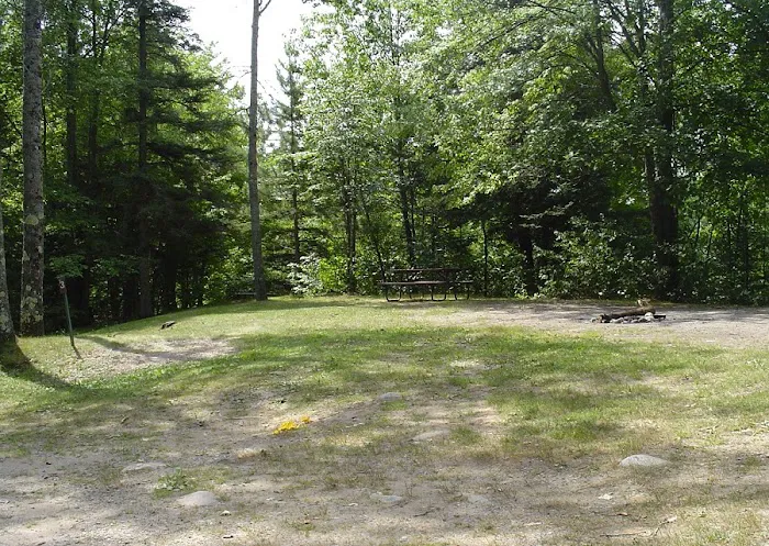 Camp New Wood County Campground 5