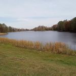 Camp 8 Camping