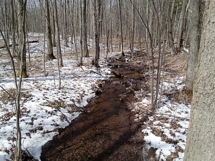 Wood Lake Campground 2