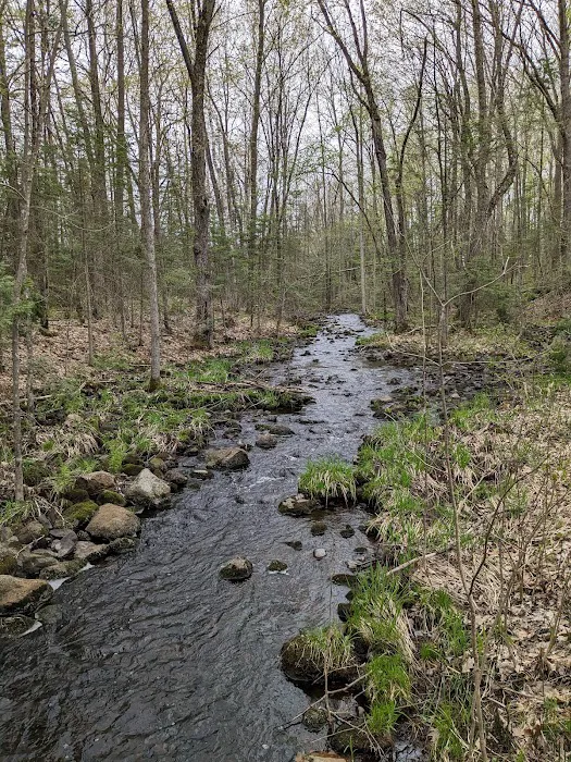 Wood Lake Campground 7