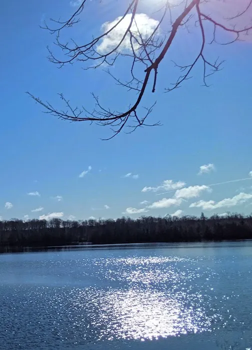 Wood Lake Campground 4