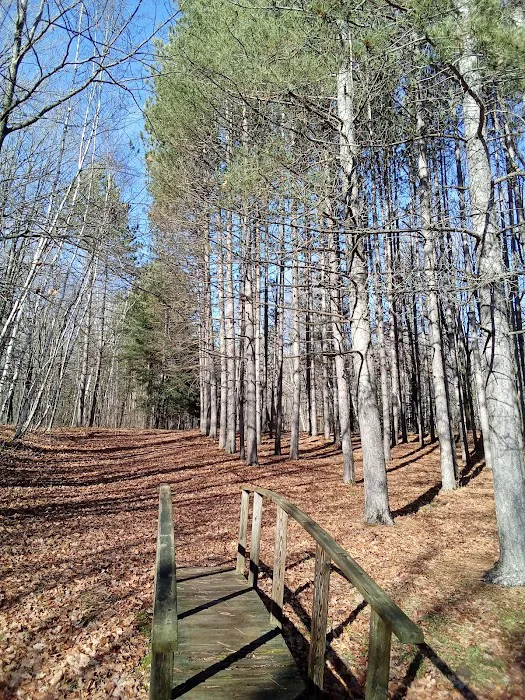 Wood Lake Campground 6
