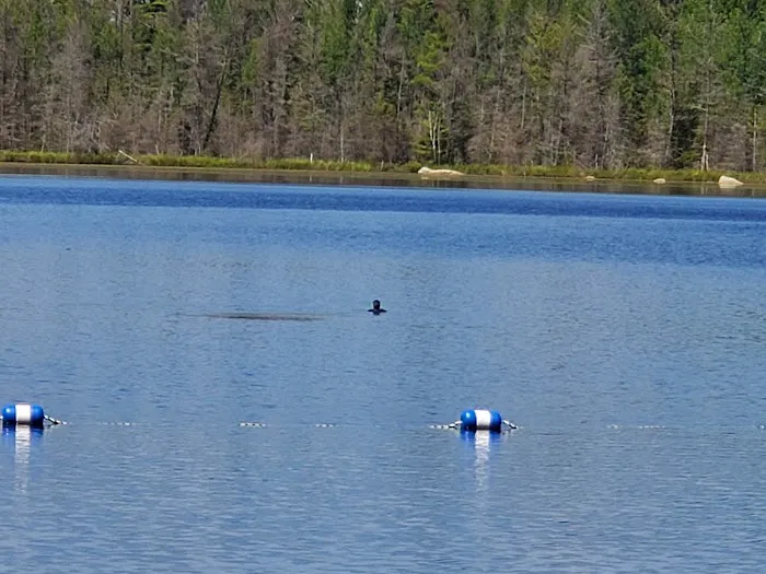 Morgan Lake Campground 1