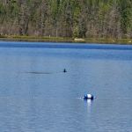 Morgan Lake Campground