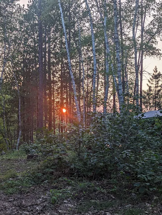 Morgan Lake Campground 3