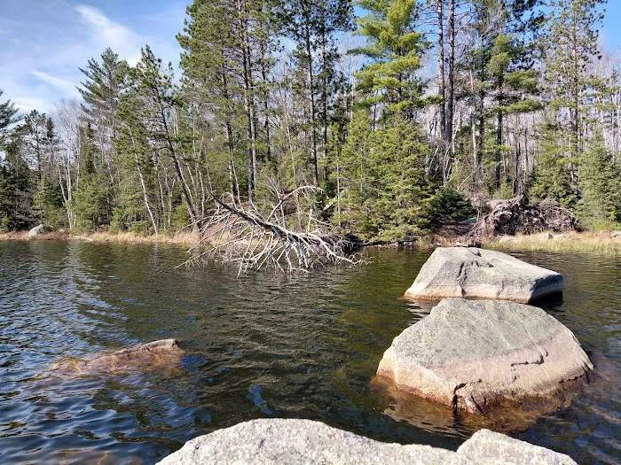Morgan Lake Campground 6