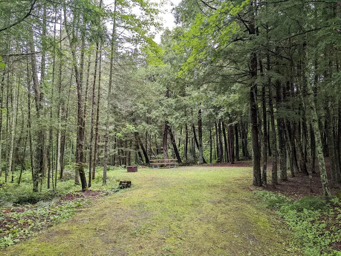 Pine Lake Campground 5