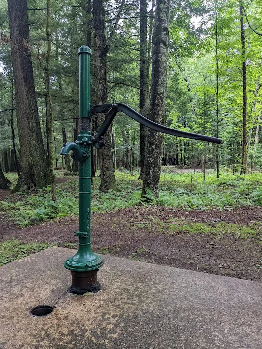 Pine Lake Campground 4