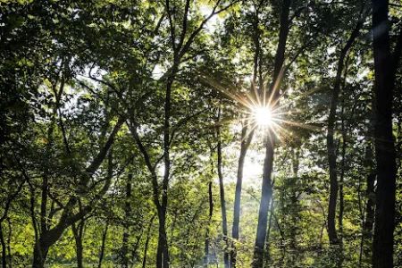 Upper Cedar Hills Campground