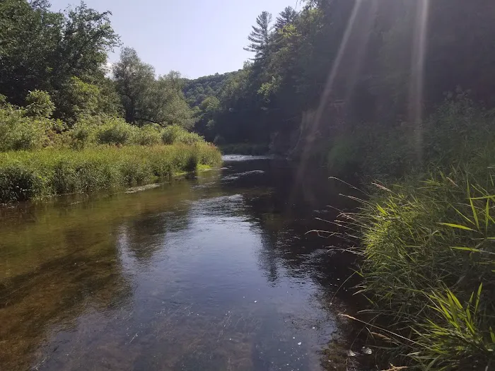 Upper Cedar Hills Campground 5