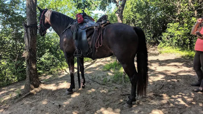 Zumbro Bottoms Horse Campground - Central 3