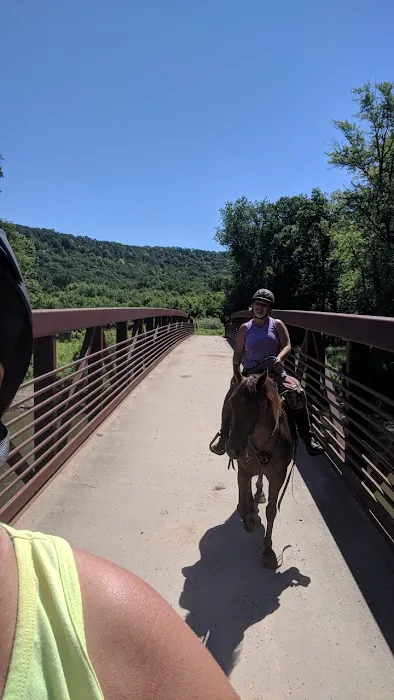 Zumbro Bottoms Horse Campground - Central 4