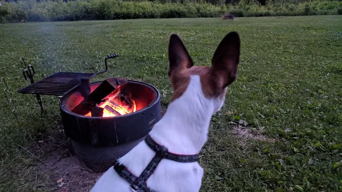 Zumbro Bottoms Horse Campground - Central 1