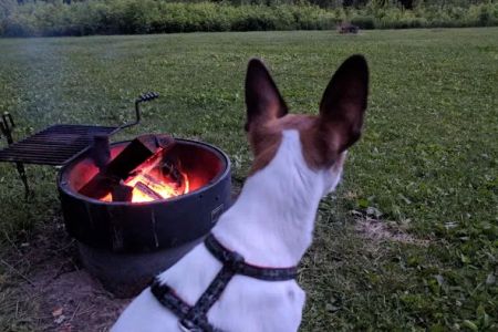 Zumbro Bottoms Horse Campground - Central