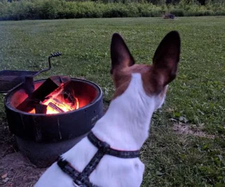 Zumbro Bottoms Horse Campground - Central