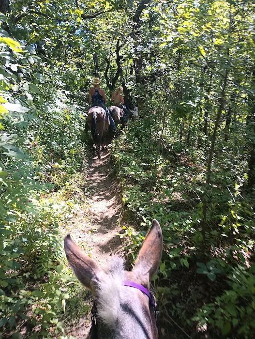 Zumbro Bottoms Horse Campground - West 10