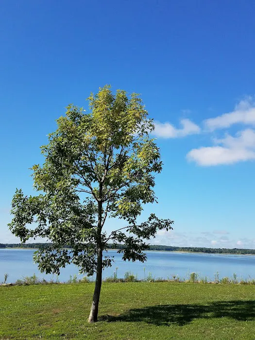 BRIDGEVIEW (RATHBUN LAKE) (recgovnpsdata) 7