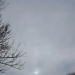 Hartford Mobile Home Park