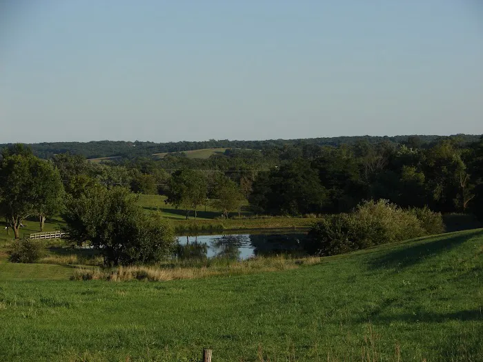 Pickard Park Campground 1