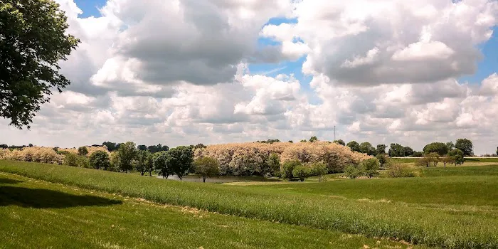 Pickard Park Campground 4