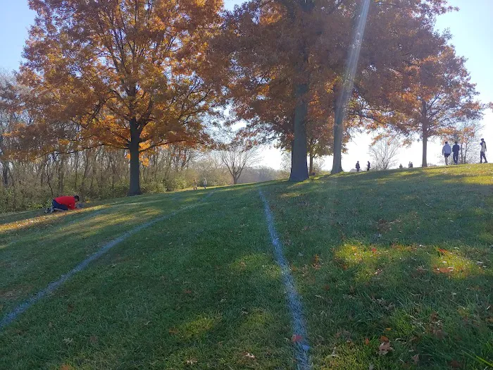 Pickard Park Campground 5