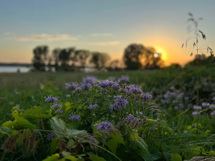 Prairie Flower Campground 1