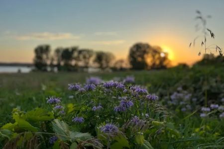 Prairie Flower Campground