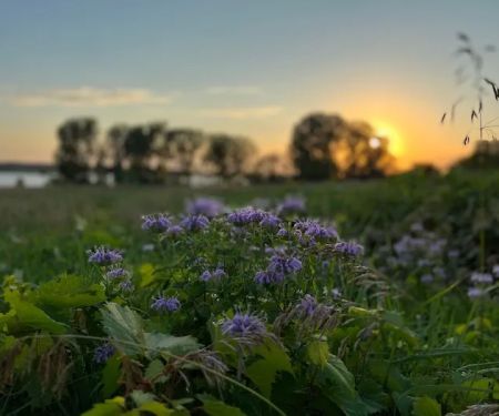 Prairie Flower Campground
