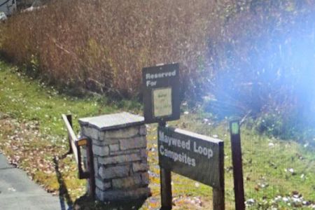 Mayweed Loop