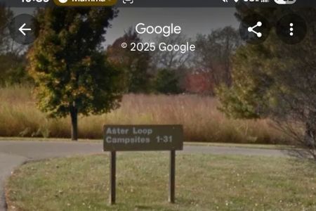 Aster Loop
