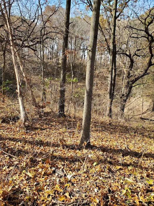 Prairie Flower Recreation Area 3