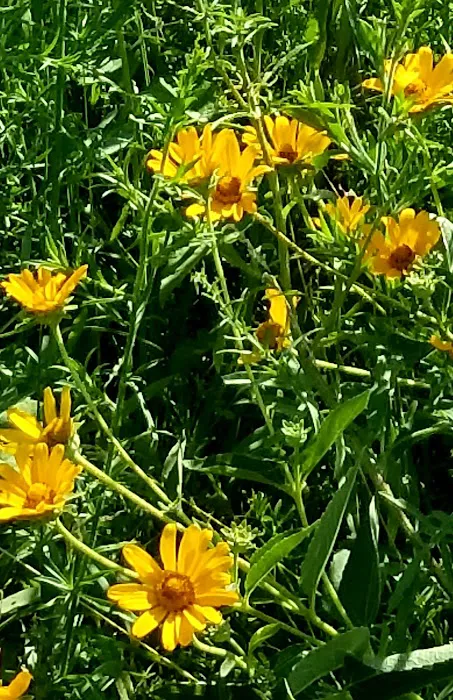 Prairie Flower Campground 10
