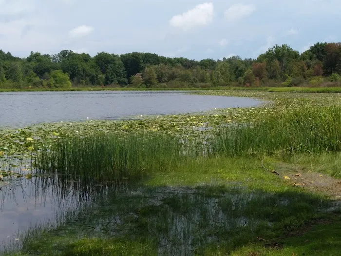 First Lake Park 8