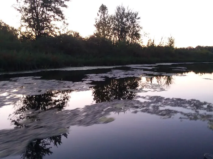 First Lake Park 5