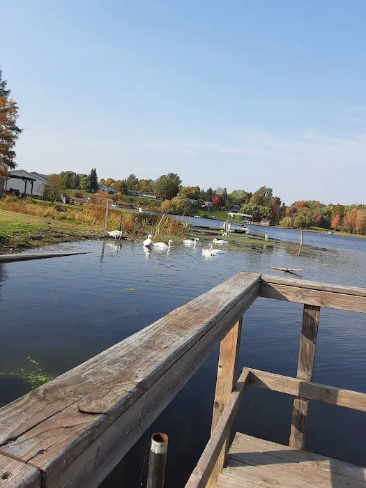 Belvidere Township Park 4