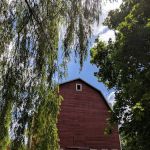 Meadow Lane Estates
