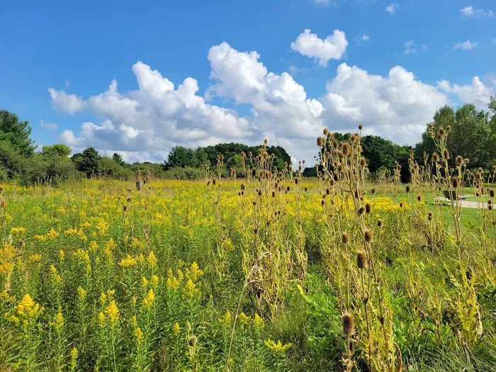 Sleepy Hollow State Park 9