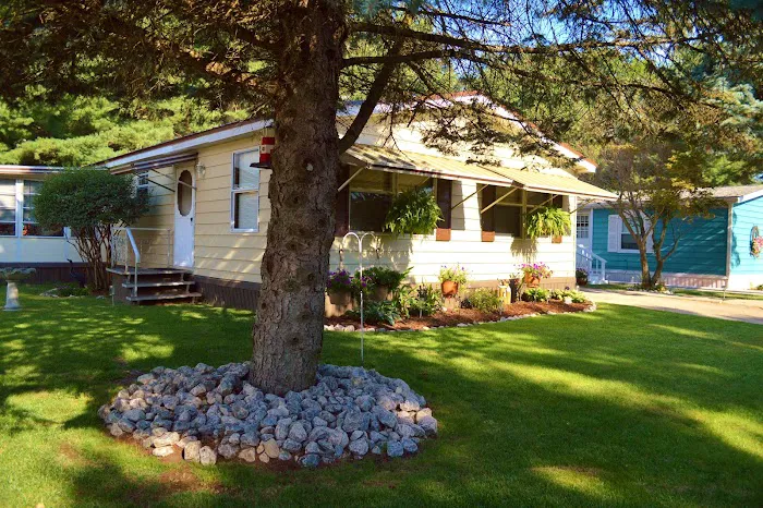 Evergreen Village 3